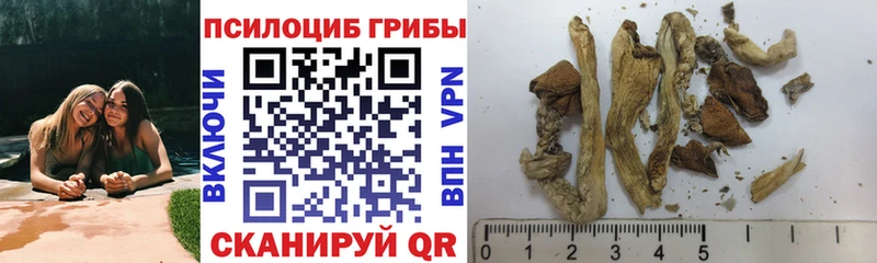 Псилоцибиновые грибы ЛСД  купить наркотики цена  Будённовск 