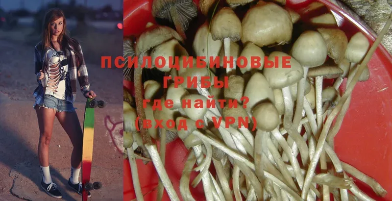 Галлюциногенные грибы Magic Shrooms  купить наркотик  Будённовск 